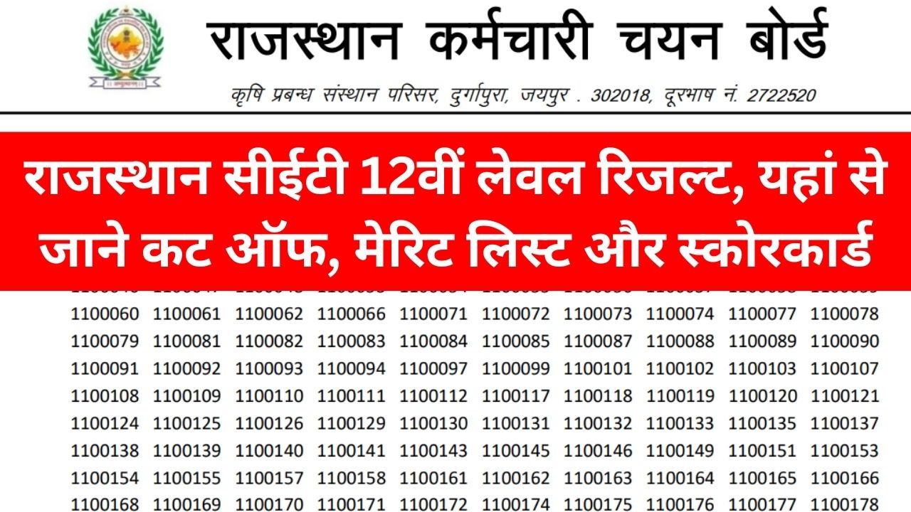 RSMSSB CET 12th Level Result 2024